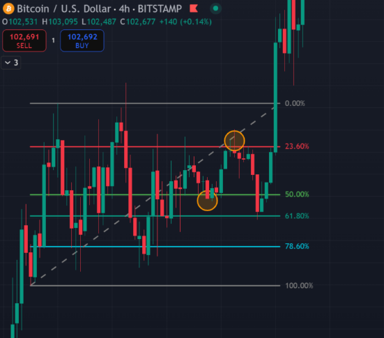 strategi-trading-harian-untuk-memaksimalkan-peluang-profit