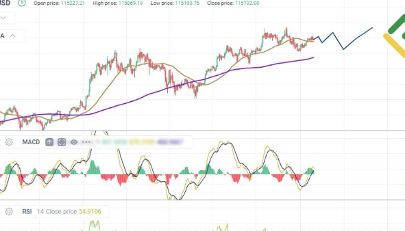 alasan-bitcoin-di-tahun-2025-naik-turun