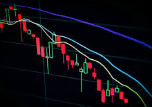 jenis-trading-yang-bisa-dipelajari-oleh-pemula